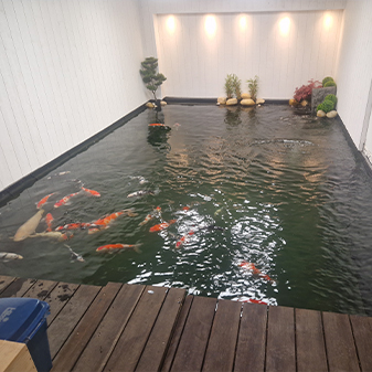 Baignade biologique
