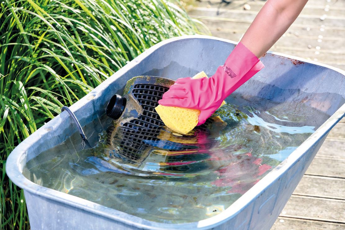 Conseil piscine naturelle