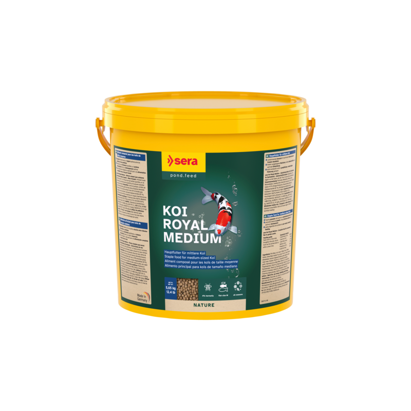 Nourriture poisson bassin