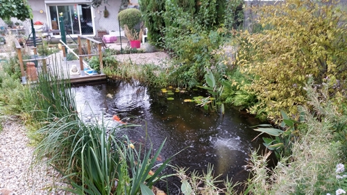Accessoire piscine ecologique