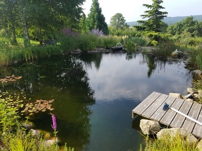 Accessoire piscine ecologique