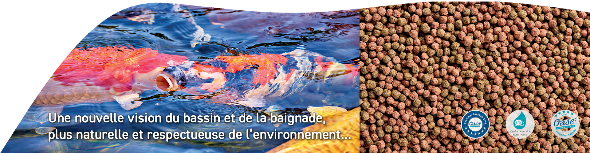 Slider nourriture poisson