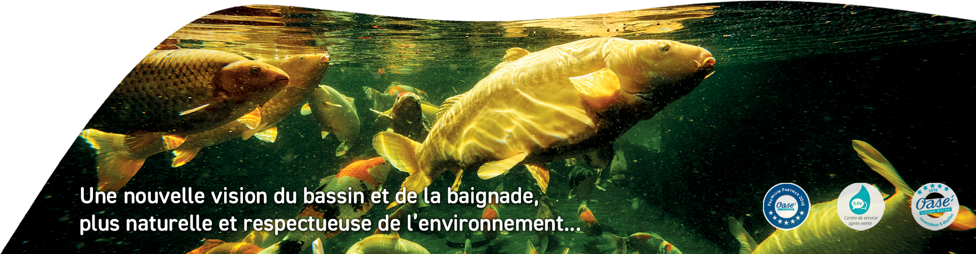 Slider poisson bassin