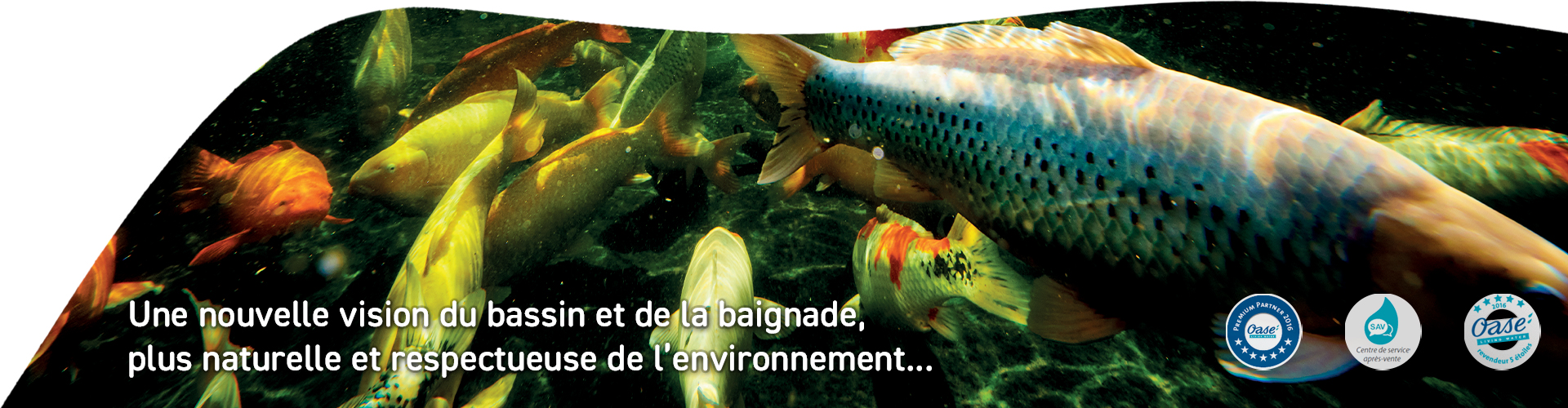 Slider poisson bassin